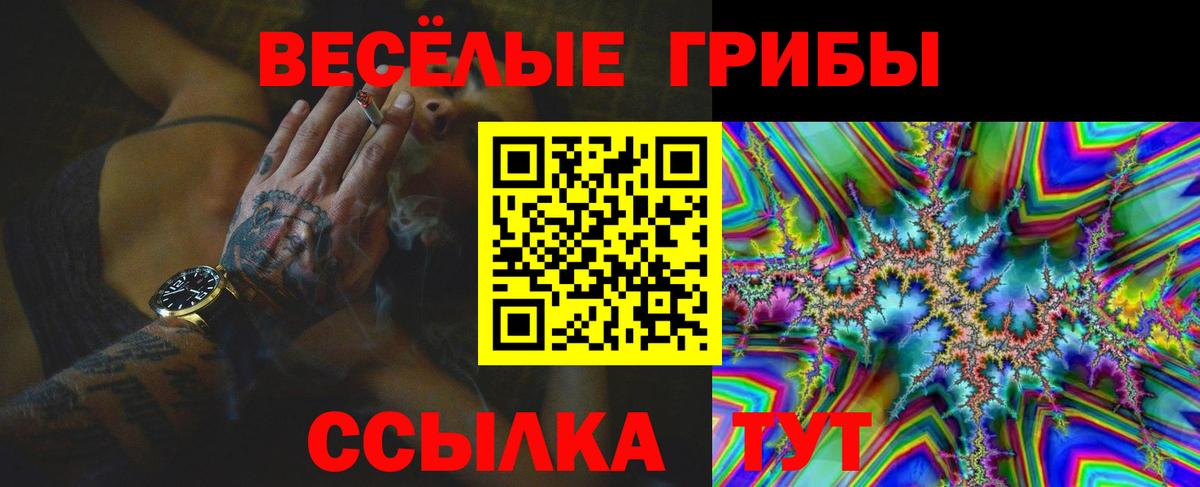 Псилоцибиновые грибы GOLDEN TEACHER Борзя