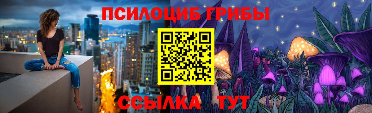 Псилоцибиновые грибы MAGIC MUSHROOMS  Псилоцибиновые грибы Cubensis  Борзя  Вход с VPN 